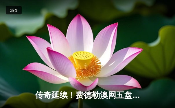 传奇延续！费德勒澳网五盘大战惊险晋级，新一代挑战者虽败犹荣 - 3